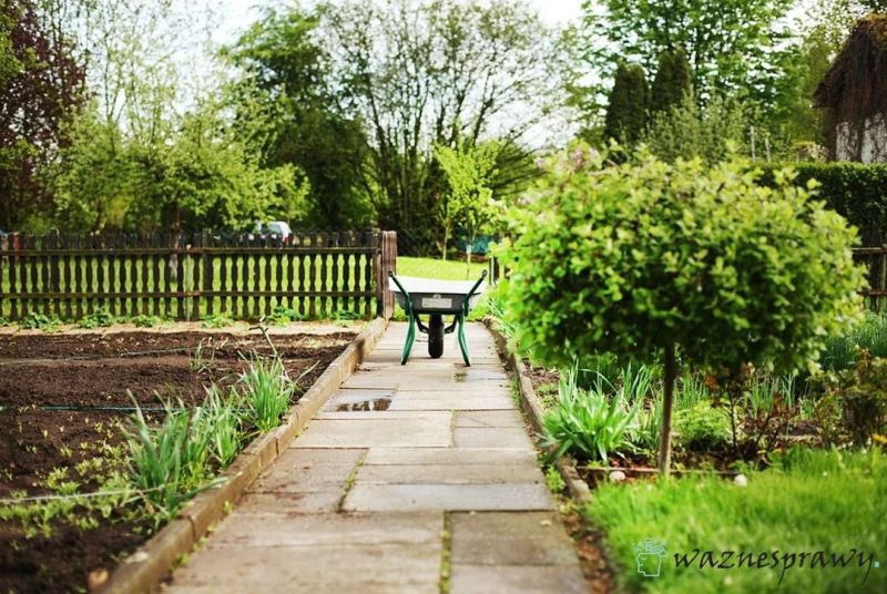 Działka rekreacyjna a ukształtowanie terenu i lokalizacja