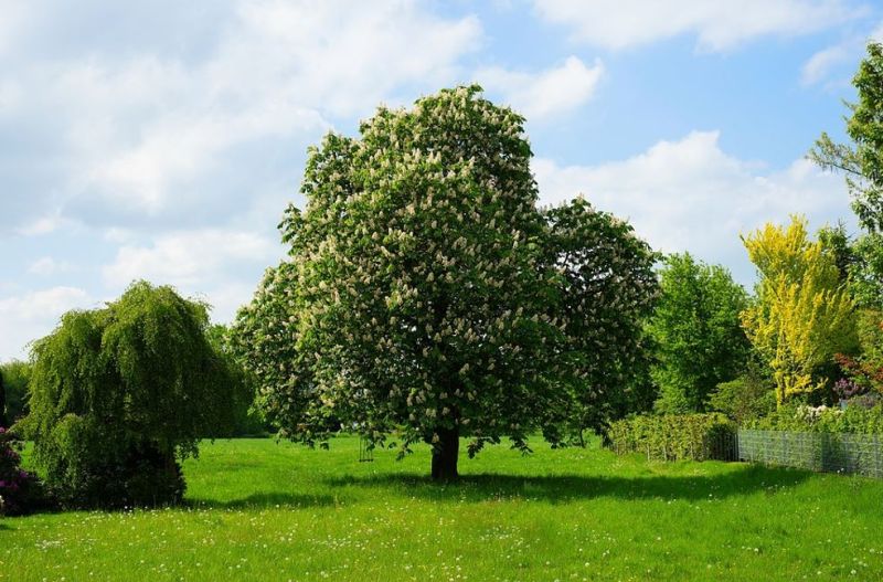 Działka rekreacyjna - na co zwrócić uwagę przy wyborze