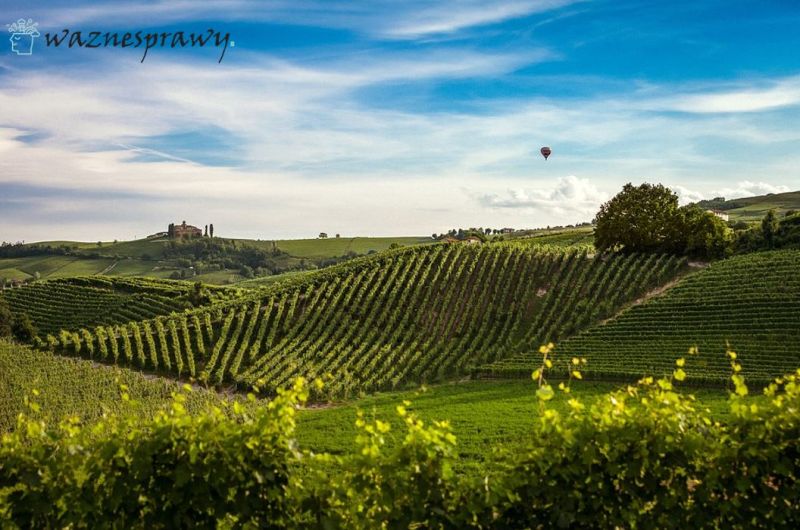 Działka rekreacyjna a jakość gruntu