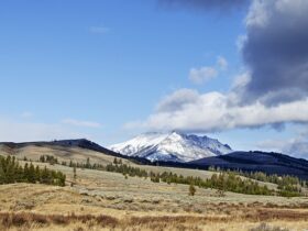 czy inwestycja w działkę jest dobra