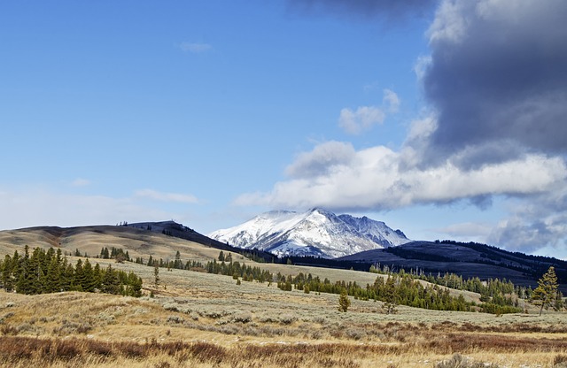 czy inwestycja w działkę jest dobra