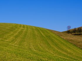 Działka budowlana - gdzie ją kupić