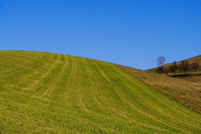 Działka budowlana - gdzie ją kupić
