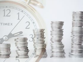 Młodzi inwestorzy duże cele