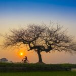 ciekawe długie wieczory z dzieckiem